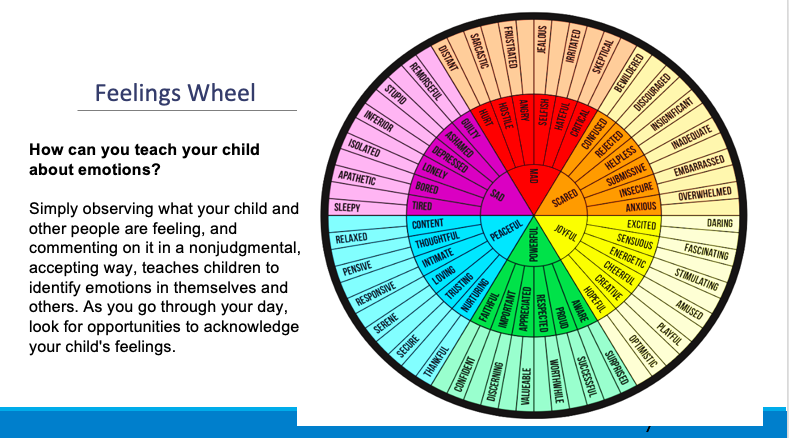 Feelings Wheel